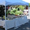 Marche_artisanal_2016